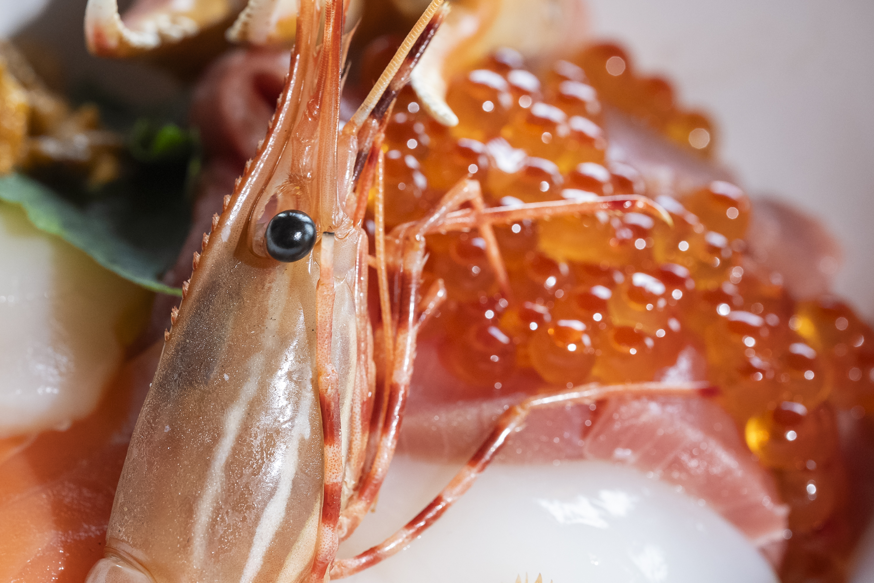 <宿泊者限定>お正月朝食のご案内　2026年1月1日〜1月3日